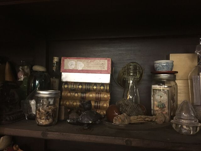 File:Shelf.jpg