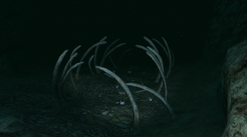 Whalebone Chasm 2