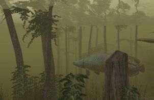 EO2MangroveMaze