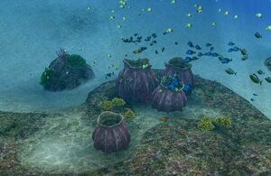 EO2AquariusCorner