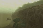 EO2CorticaWesternSandbank-A-RatedPhoto