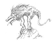 Chupacabra 1