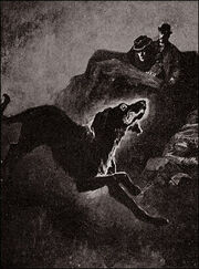 Schwarzer Hund.jpg