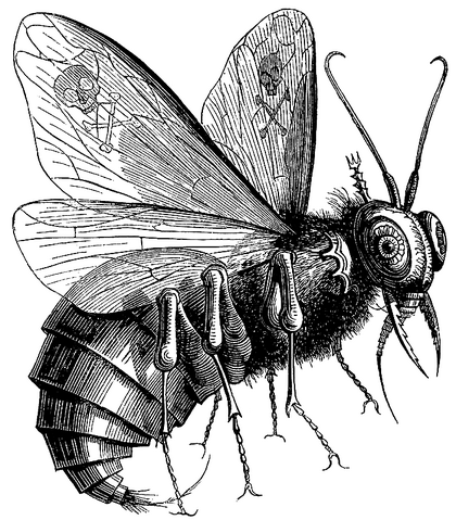 Datei:Beelzebub.png