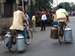 BicyclesMilkChurnsKolkata gobeirne