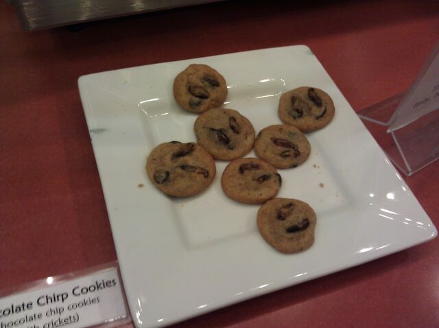 File:Chocolate chirp cookies.jpg