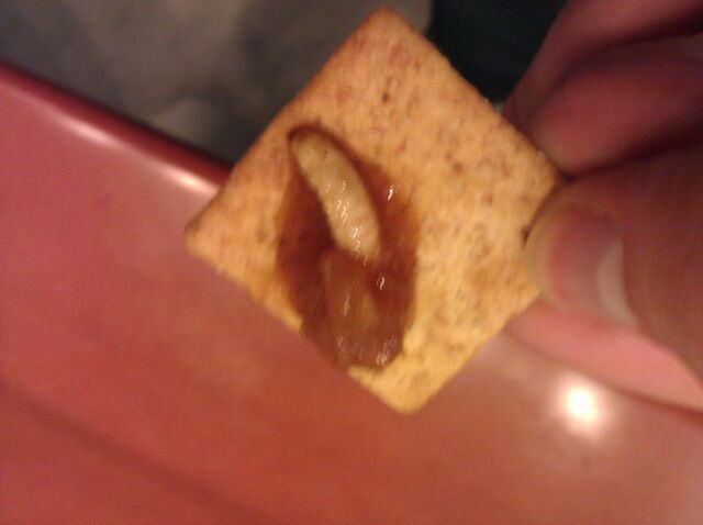 File:Waxworm salsa.jpg