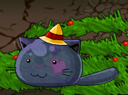 Kitten Slime