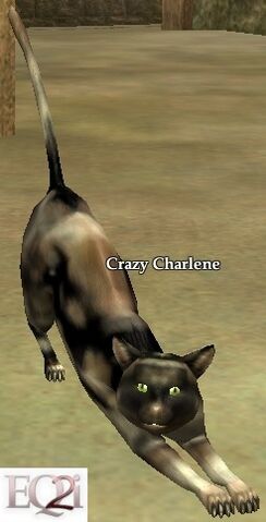 File:Crazy Charlene.jpg