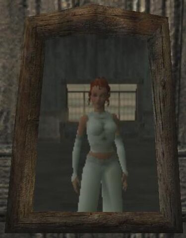 File:Basic Mirror (Visible).jpg