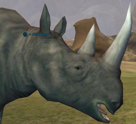 File:Rhinoceros.jpg