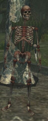 File:Dragoon sentry.jpg