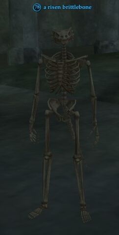 File:A risen brittlebone.jpg