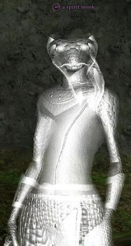 File:A Spirit Monk.jpg