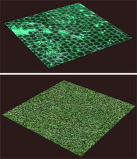 Brewday-tile-examples.jpg