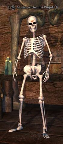 File:Master Alchemist Pinjula.jpg