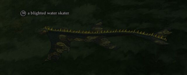 File:A blighted water skater.jpg