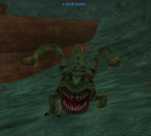 File:A flesh feeder.jpg