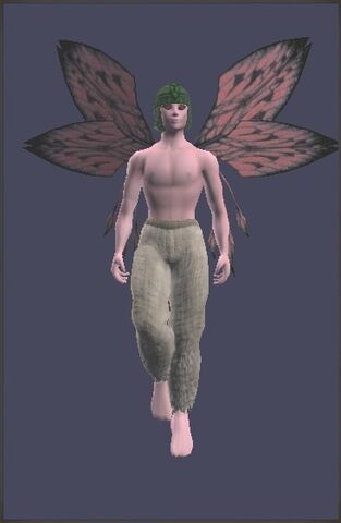 File:CoifoftheReefKnightDisplayFront.jpg