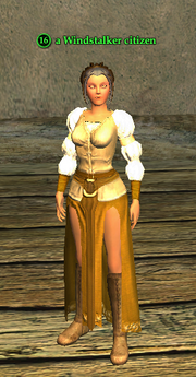 A Windstalker citizen (half elf)