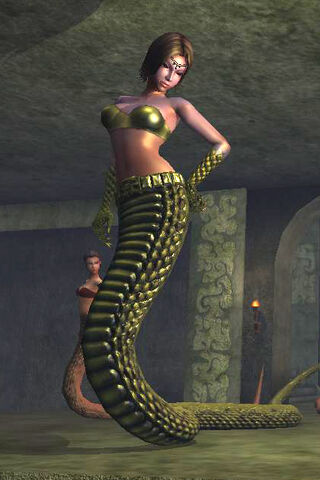 File:Vzee'rist the Overseer.jpg