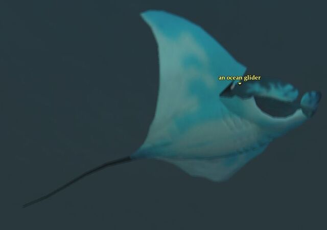 File:Ocean glider.jpg