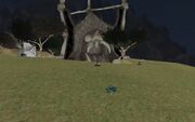 Commonlands Warfield