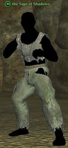 File:The Sage of Shadows.jpg