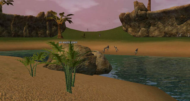 File:An exotic plant.jpg