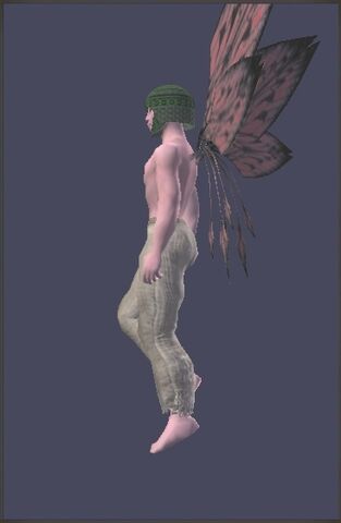File:CoifoftheReefKnightDisplaySide.jpg