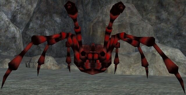File:Spider.jpg