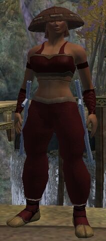 File:Adept Blood Hide Armor Set.jpg
