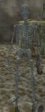 File:Undying Adherent (Adept).jpg