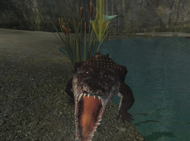 File:A marsh crocodile.jpg