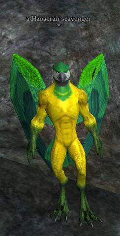 File:Haoaeran scavenger.jpg