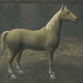 File:Race horse.jpg