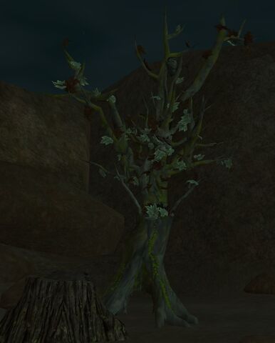 File:Deadwood Bellow.jpg