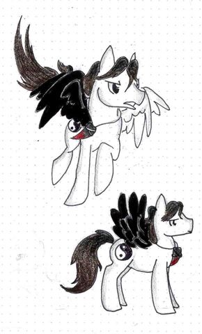 File:FANMADE nitram pony.jpg