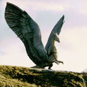 Saphira.jpg