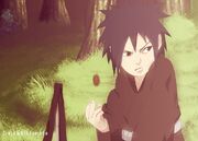 NARUTO.600.1433173