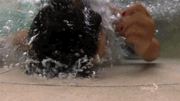 Tina.gif