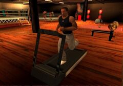 GimnasioGantonBetaDiferenciaBetaSanAndreas.jpg