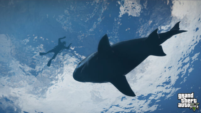 Archivo:SharkV Noticias.jpg