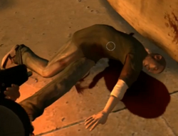 Packie muerto.png