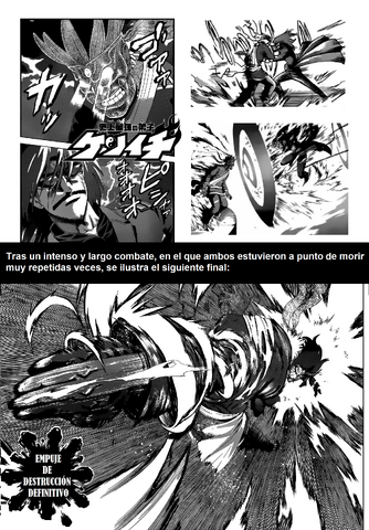 Archivo:Captura del combate.png