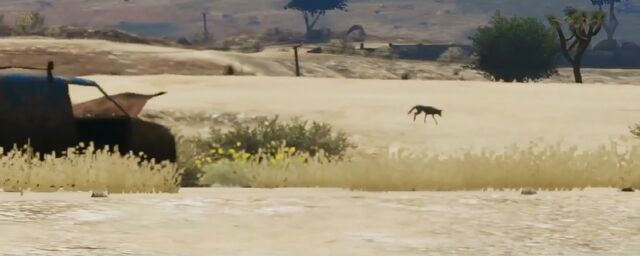 Archivo:Gtav-coyote2.jpg