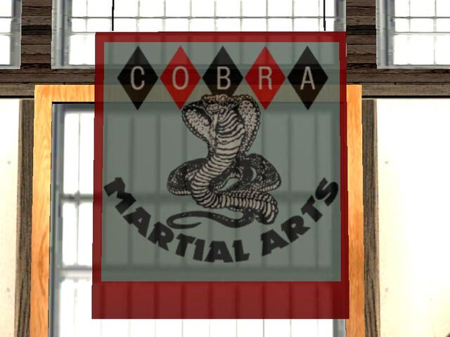 Archivo:Martial arts3.jpg