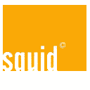 Squid.png
