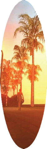 Archivo:Tabla de Surf en GTA SA.png