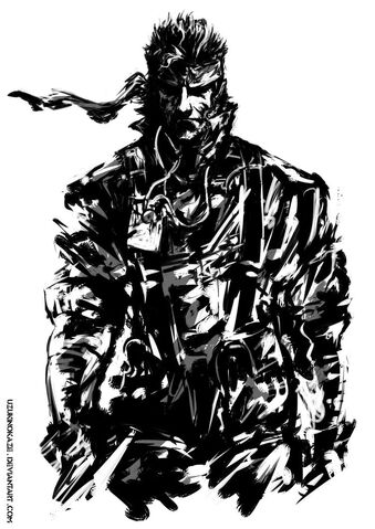 Archivo:Naked Snake.jpg